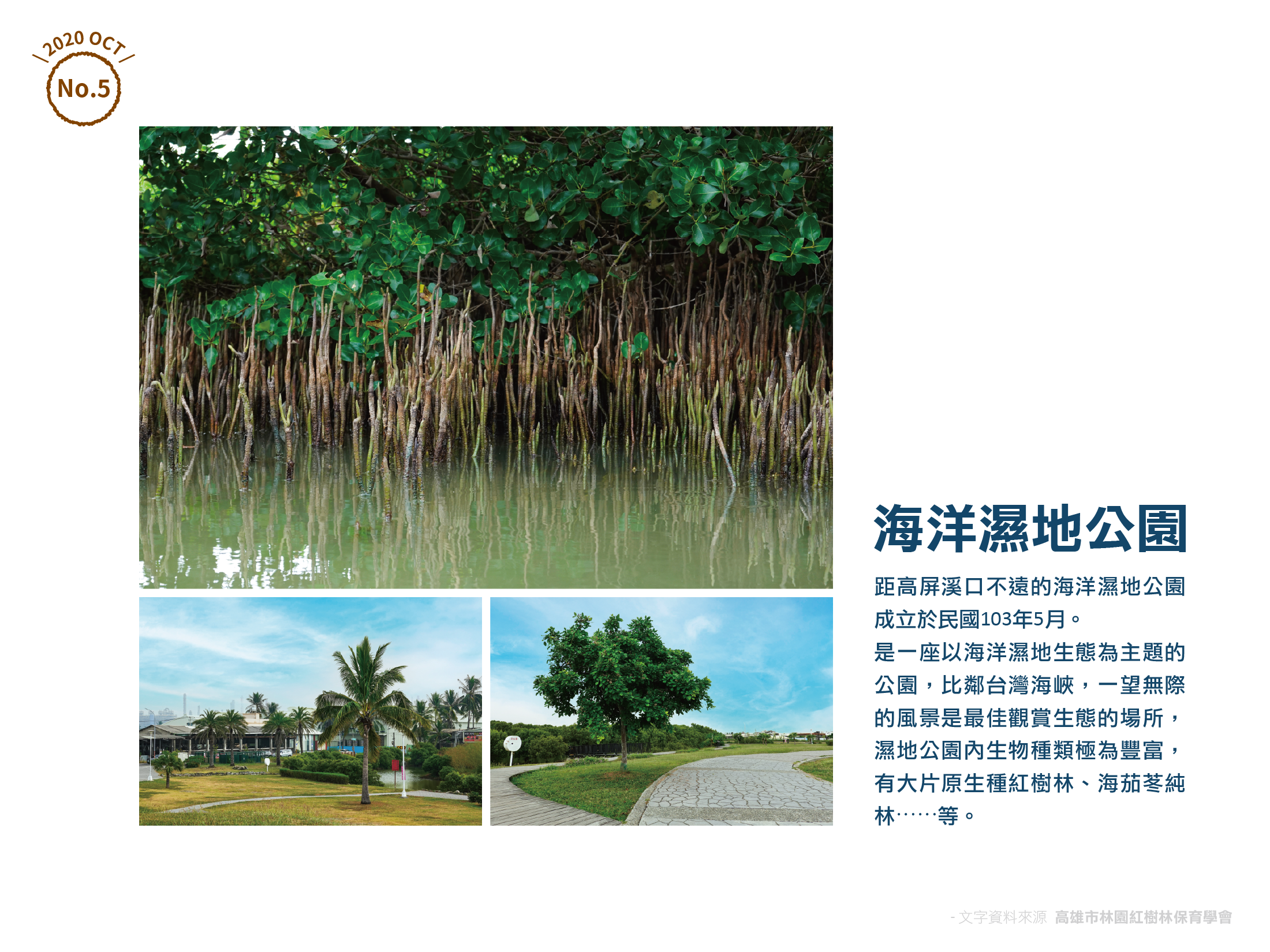 漁港重生秘境(林園)_內文圖 頁2