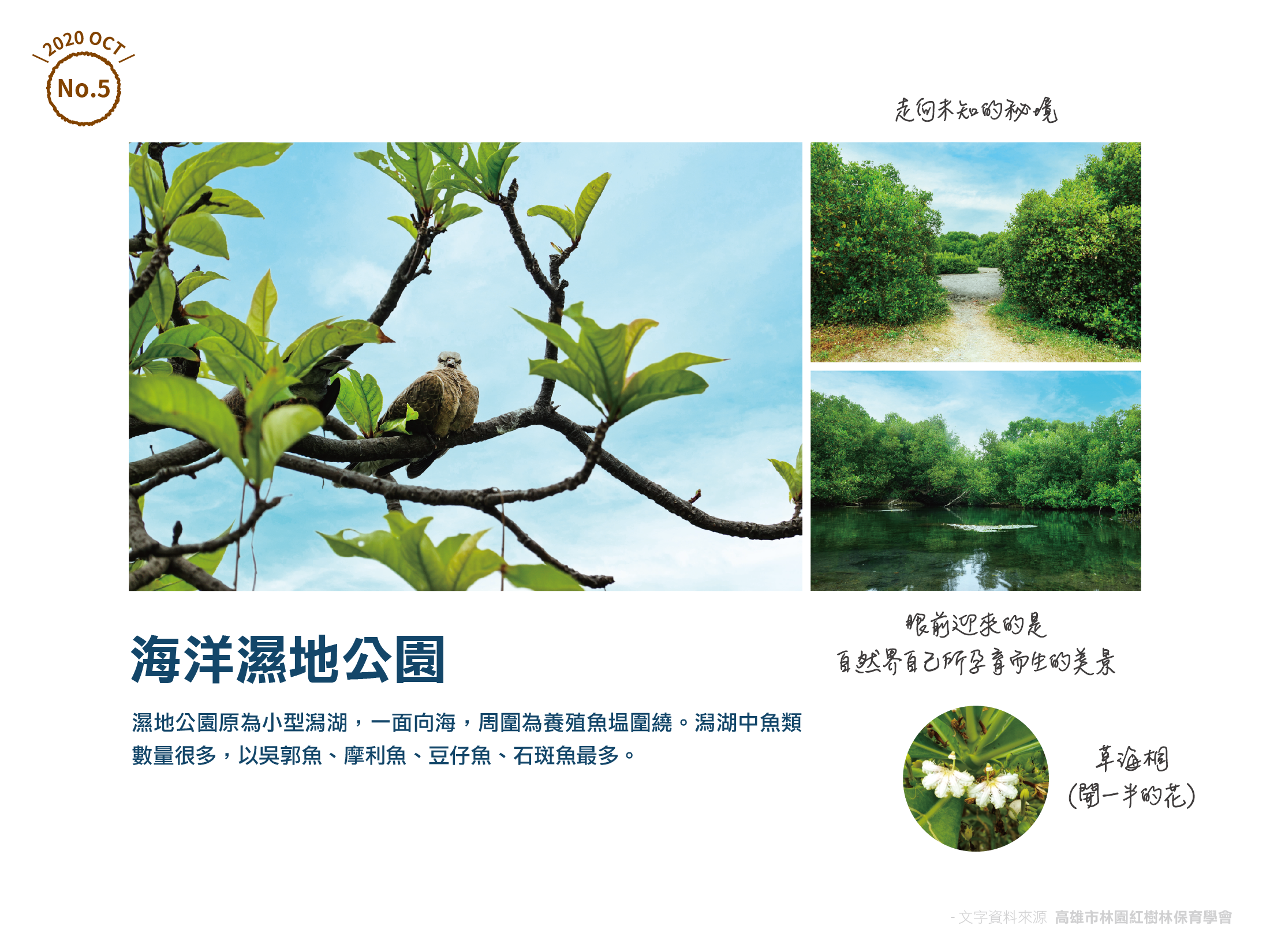 漁港重生秘境(林園)_內文圖 頁3