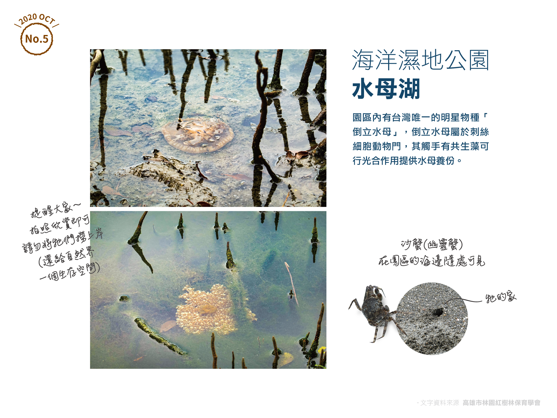 漁港重生秘境(林園)_內文圖 頁4